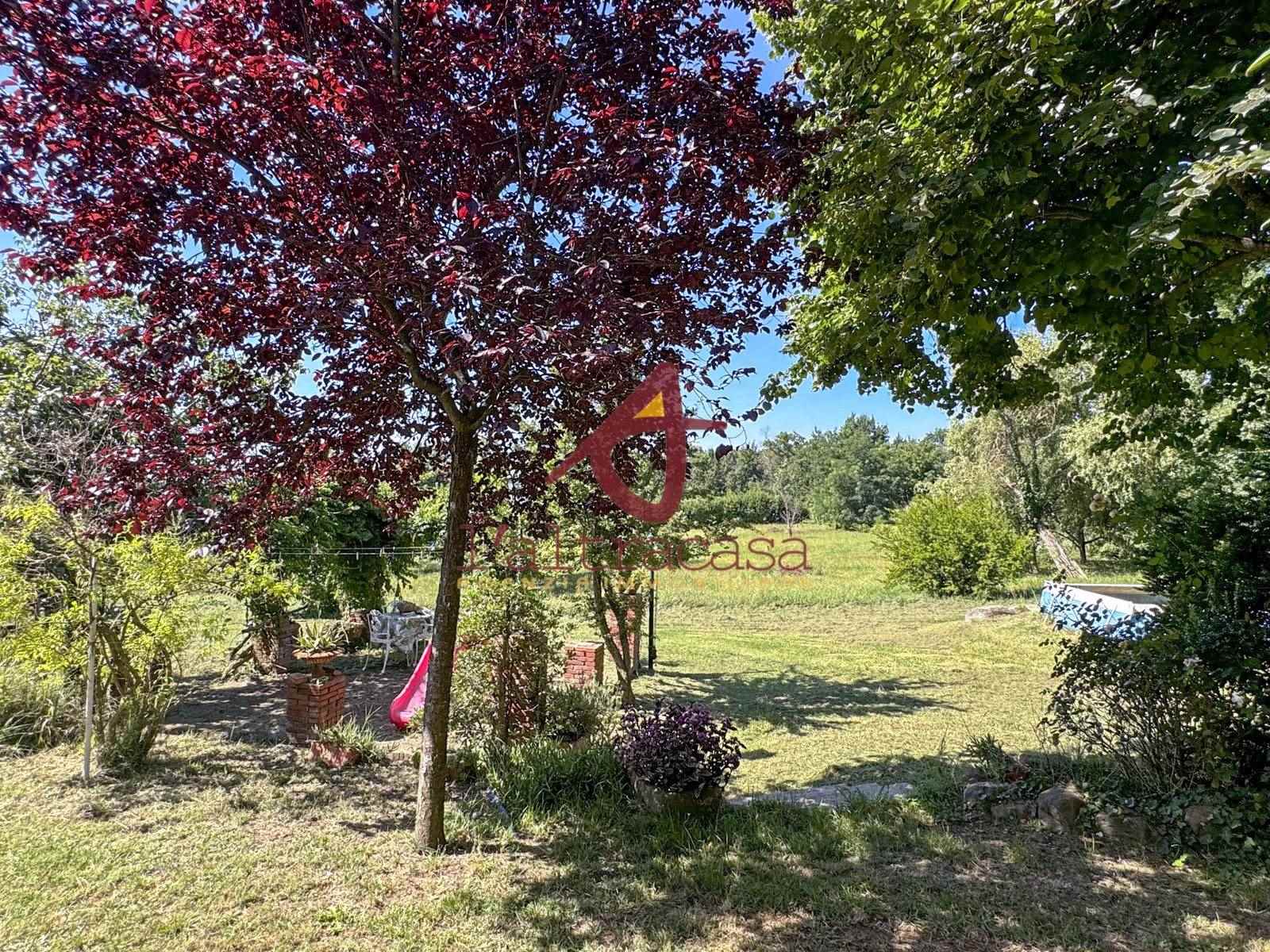 Boerderij / Rustico Landhuis Casale te koop in Buggiano Pistoia in Buggiano — foto 5