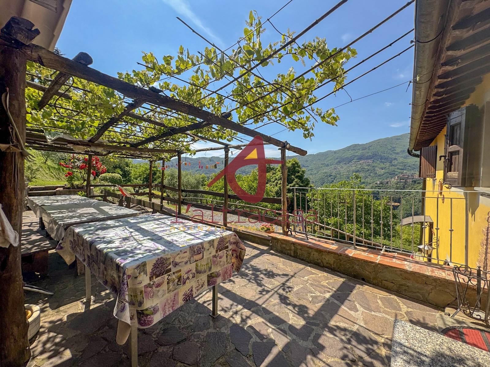 Rustico met panoramisch uitzicht en olijfgaard bij Pescia - Foto 5