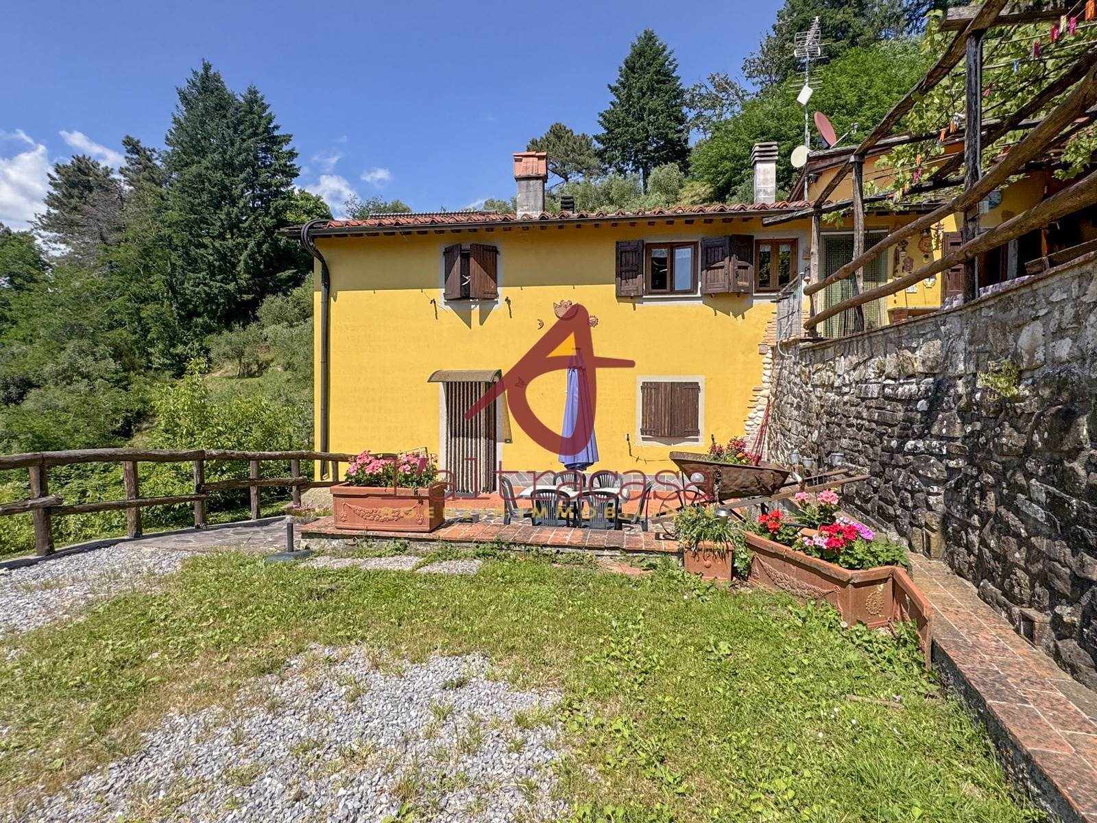 Rustico met panoramisch uitzicht en olijfgaard bij Pescia - Foto 3