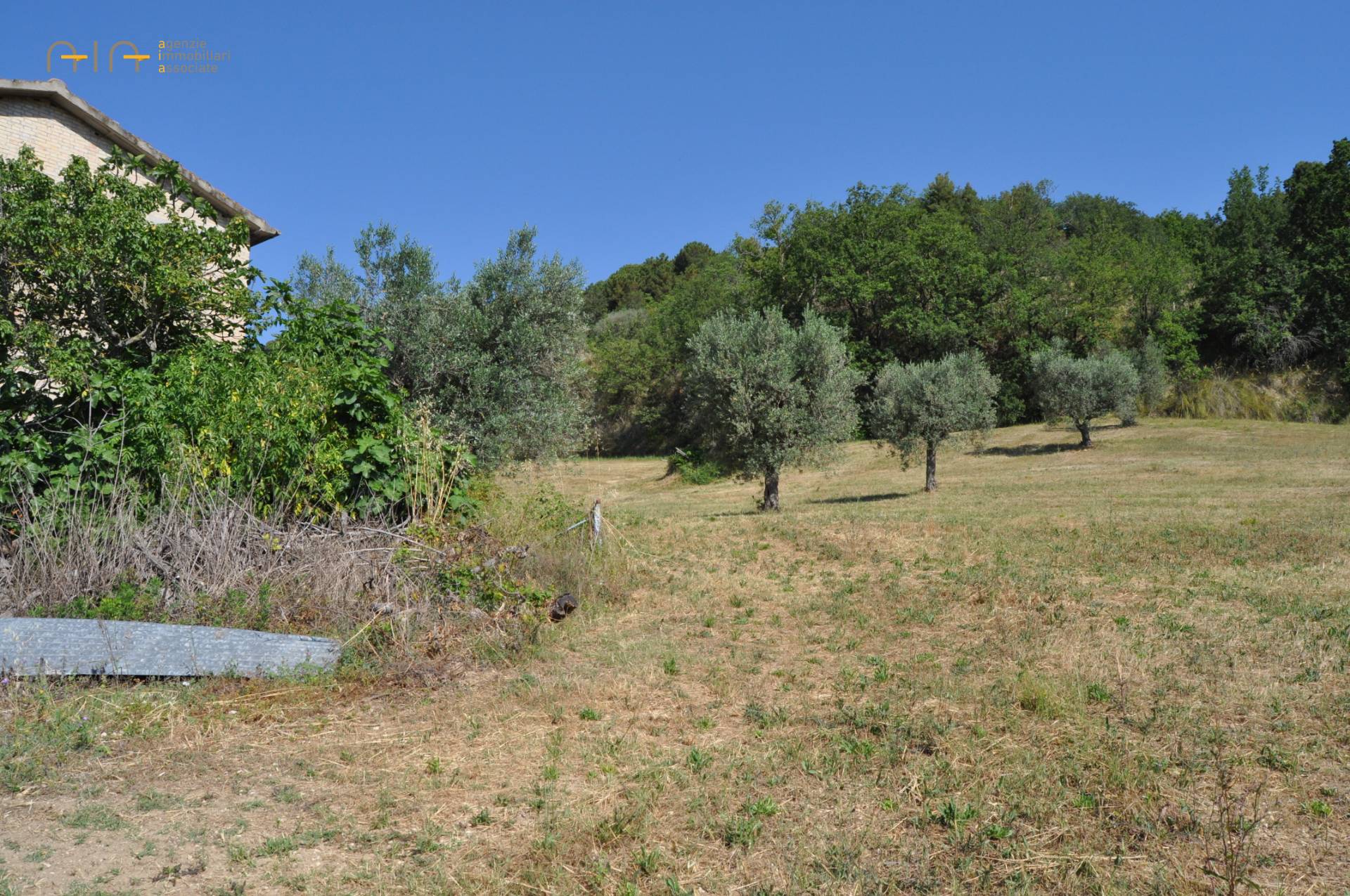 Landhuis met zeezicht en grond in Cupra Marittima - Foto 5
