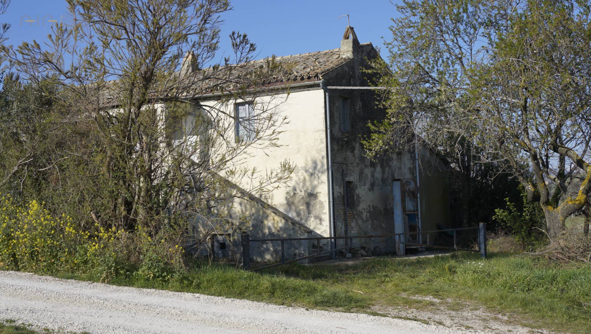 Rustiek landhuis met wijngaard en uitzicht in Offida - Foto 4