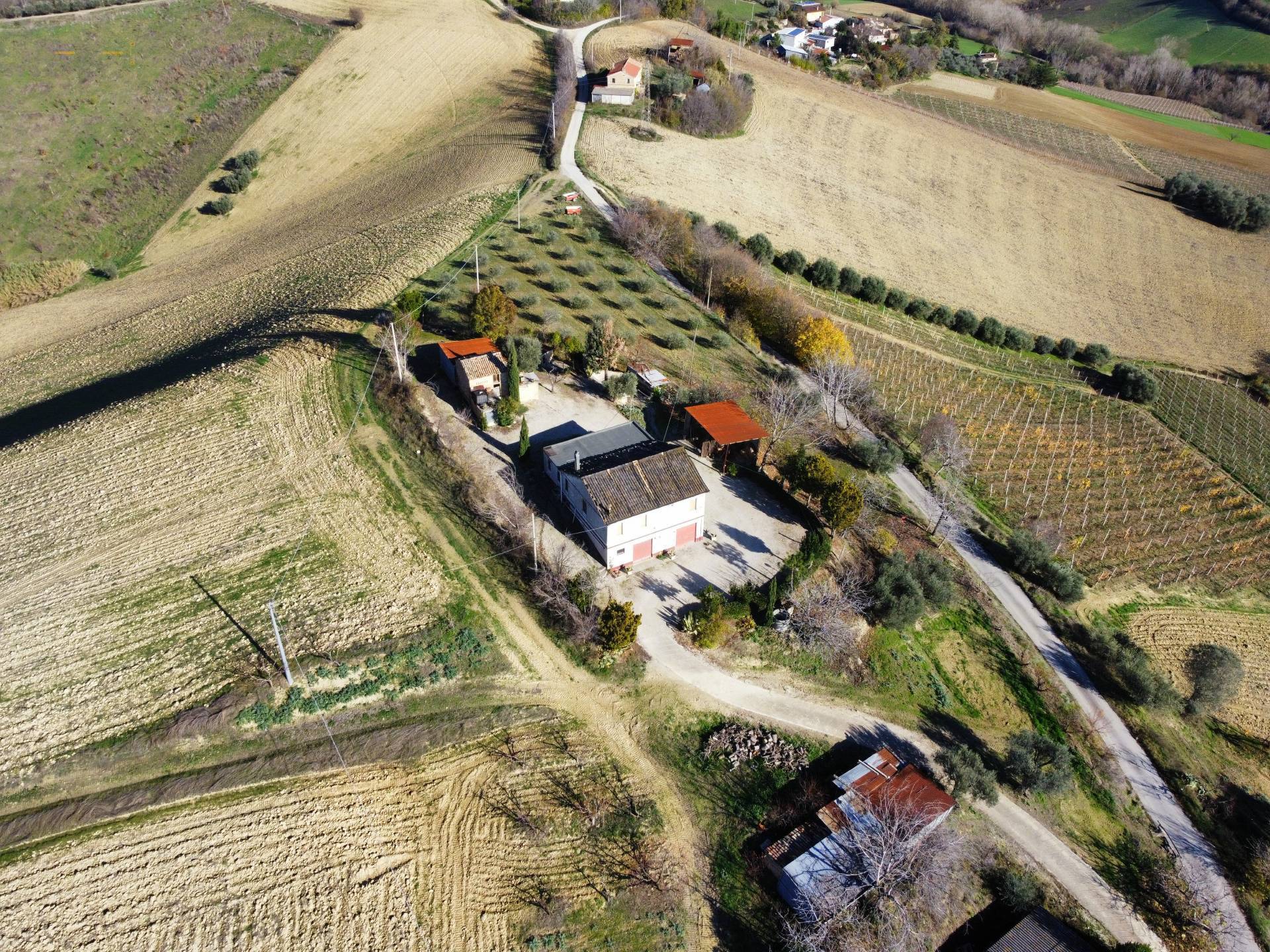 Landhuis met wijngaard in Ripatransone - Foto 5