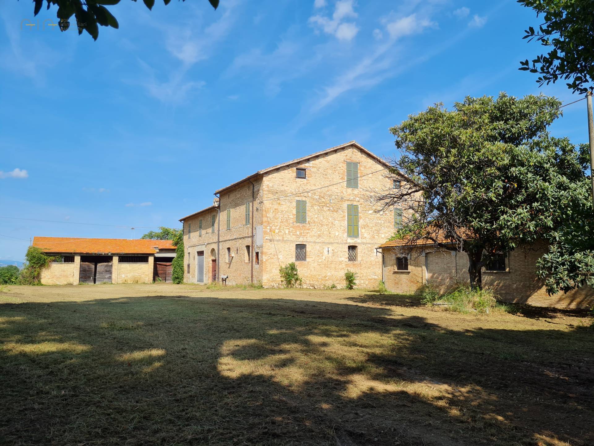 Boerderij / Rustico Casale Colonico Rustico in vendita a Ripatransone - Collinare in Ripatransone — foto 6