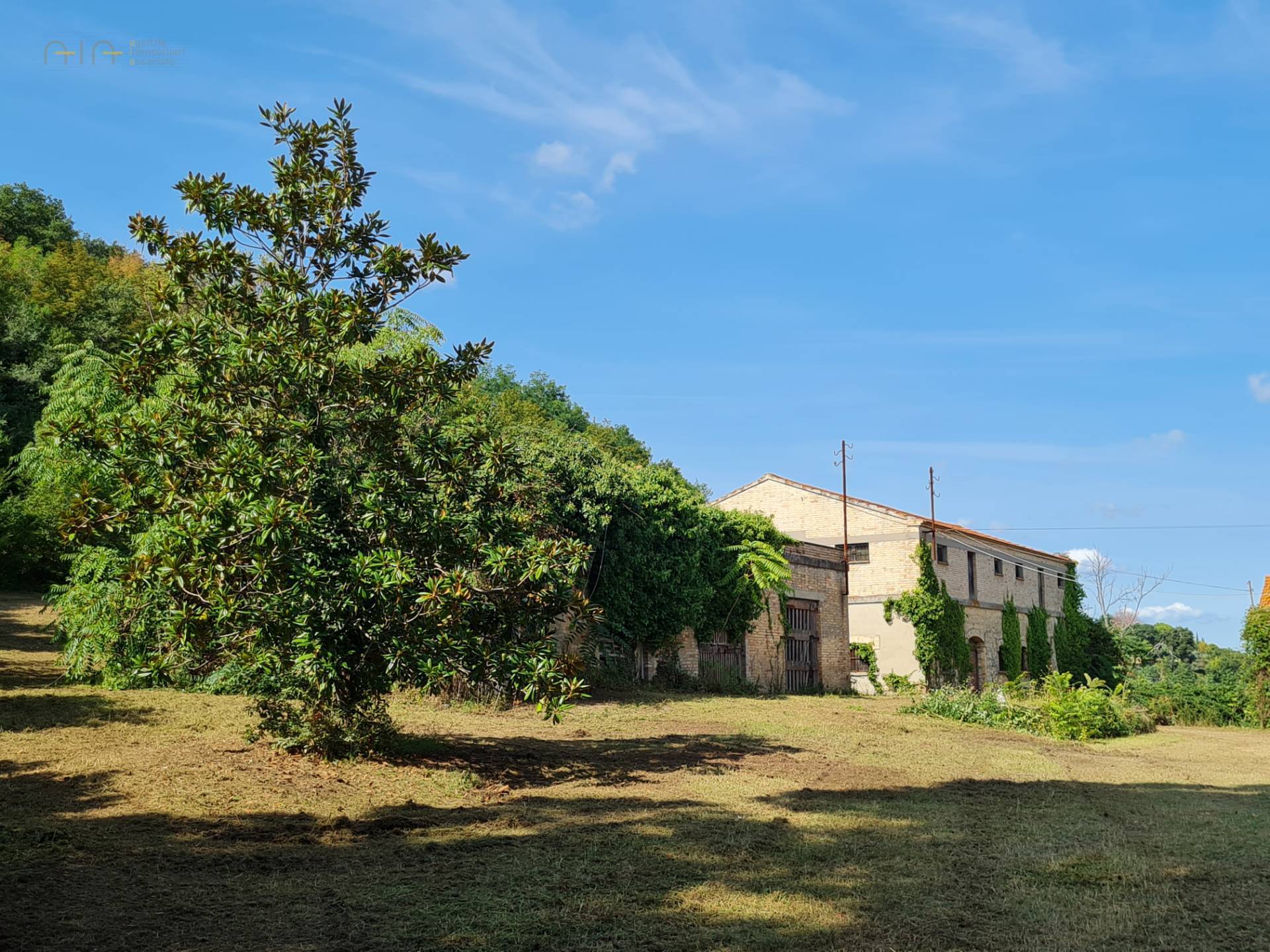 Boerderij / Rustico Casale Colonico Rustico in vendita a Ripatransone - Collinare in Ripatransone — foto 7
