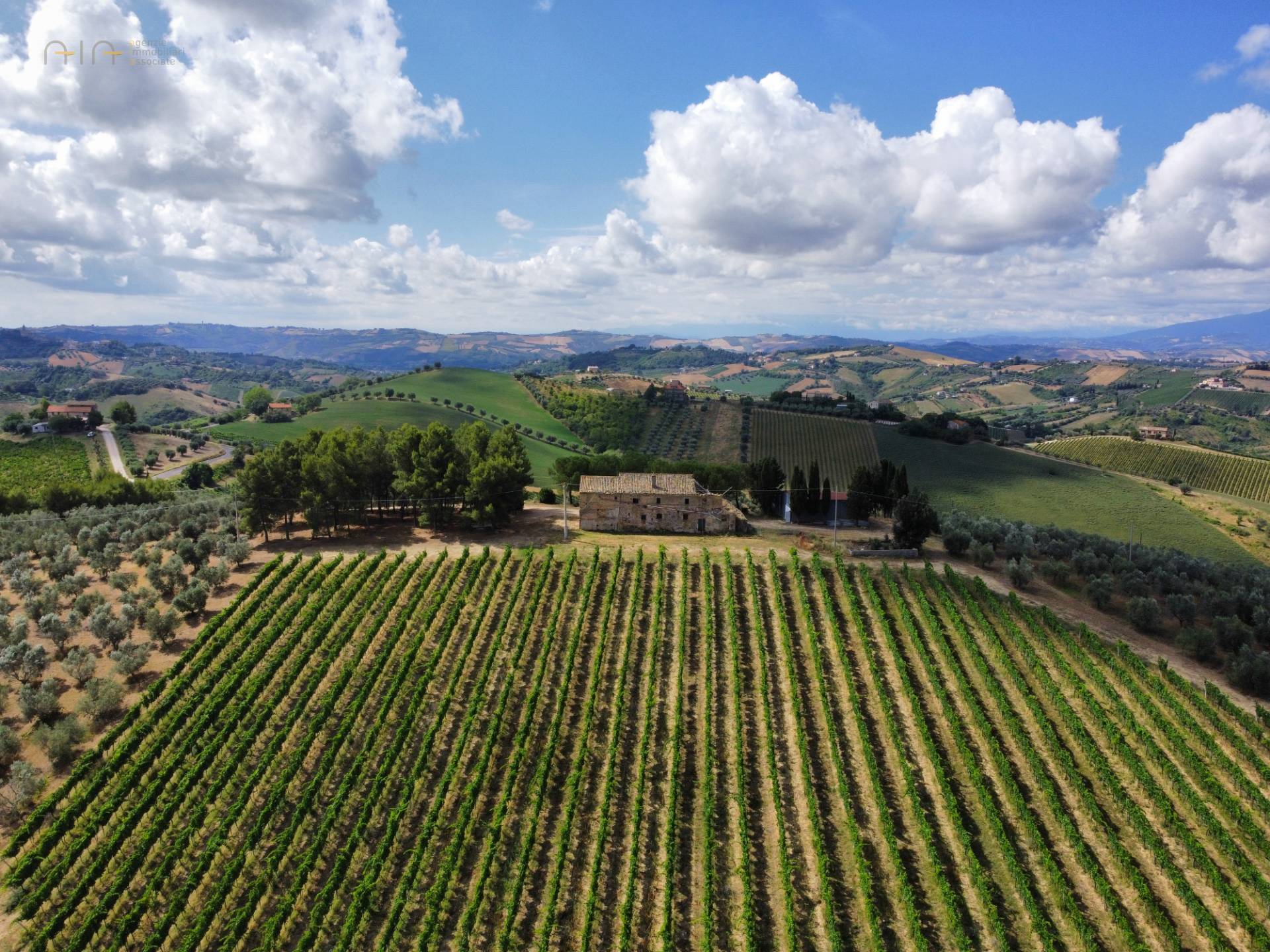 Landhuis met 21 hectare grond en panoramisch uitzicht in Acquaviva Picena - Foto 3