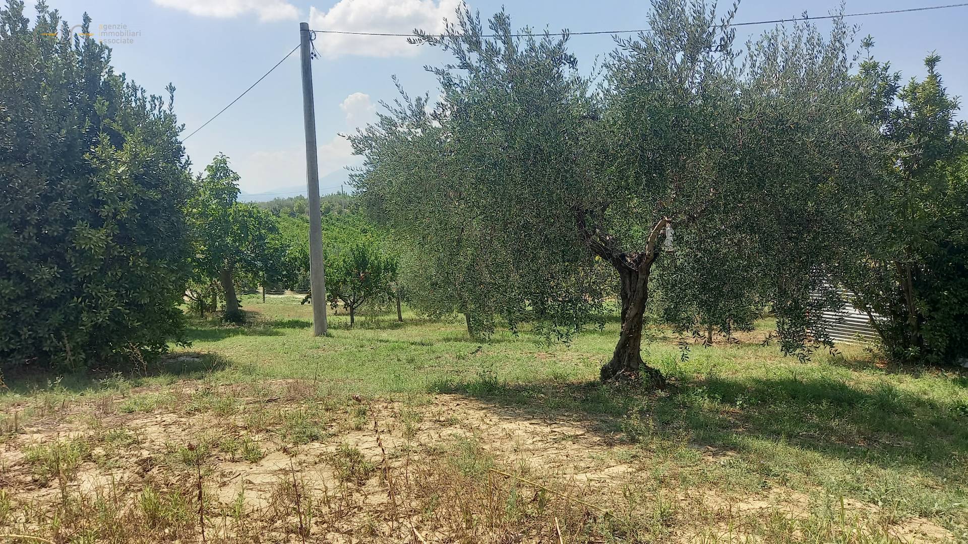 Landhuis met grond en zwembad in Offida, Marche - Foto 3