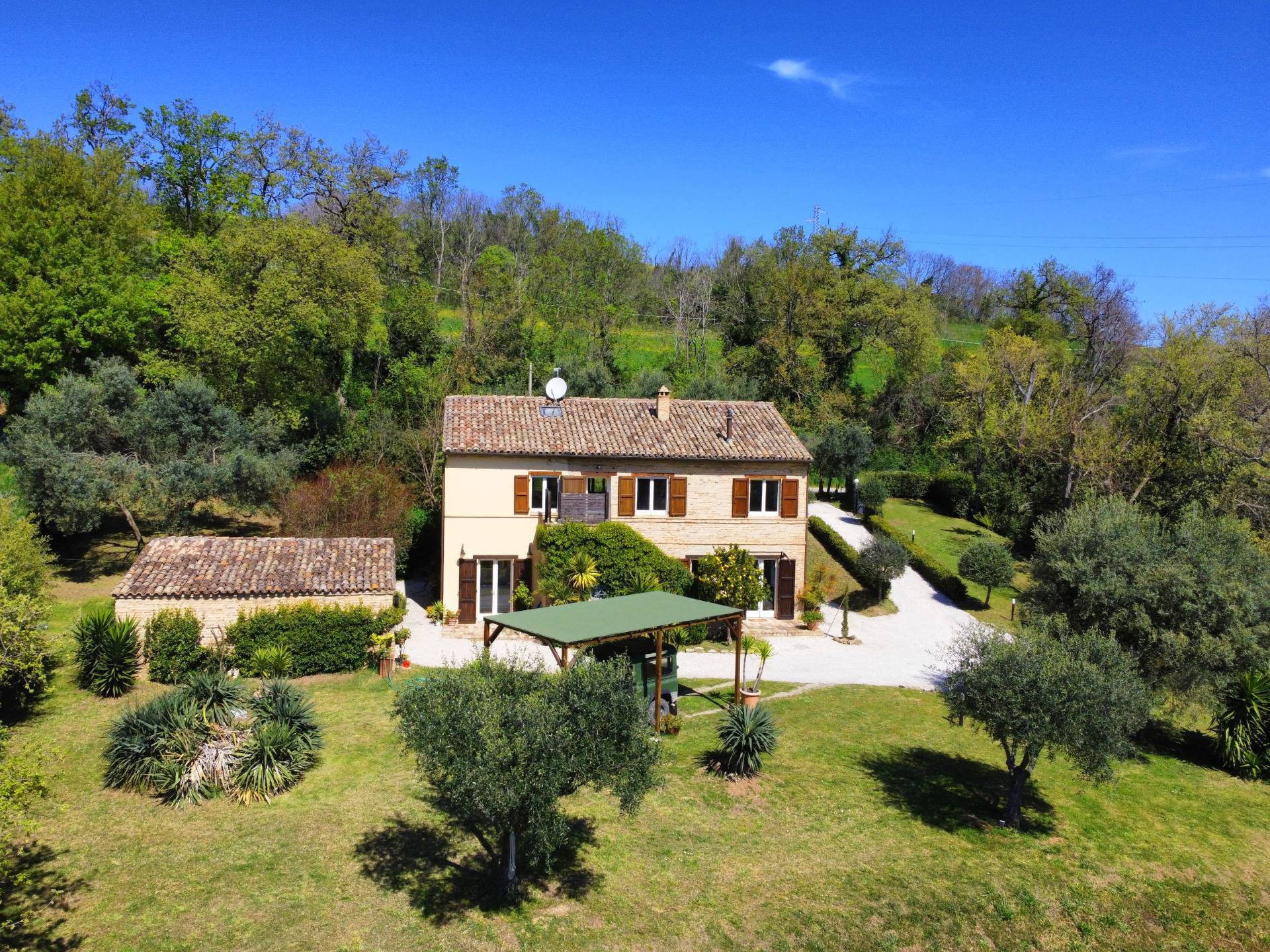 Boerderij / Rustico Casale Colonico Rustico te koop in Montecosaro in Montecosaro — foto 3