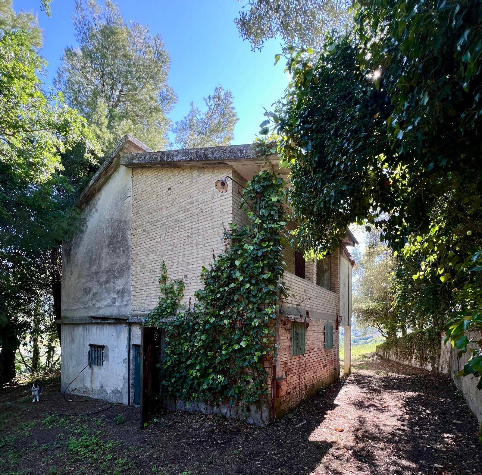 Casale Colonico Rustico te koop in Ripatransone - Val Tesino Cod. 34216 - Foto 4