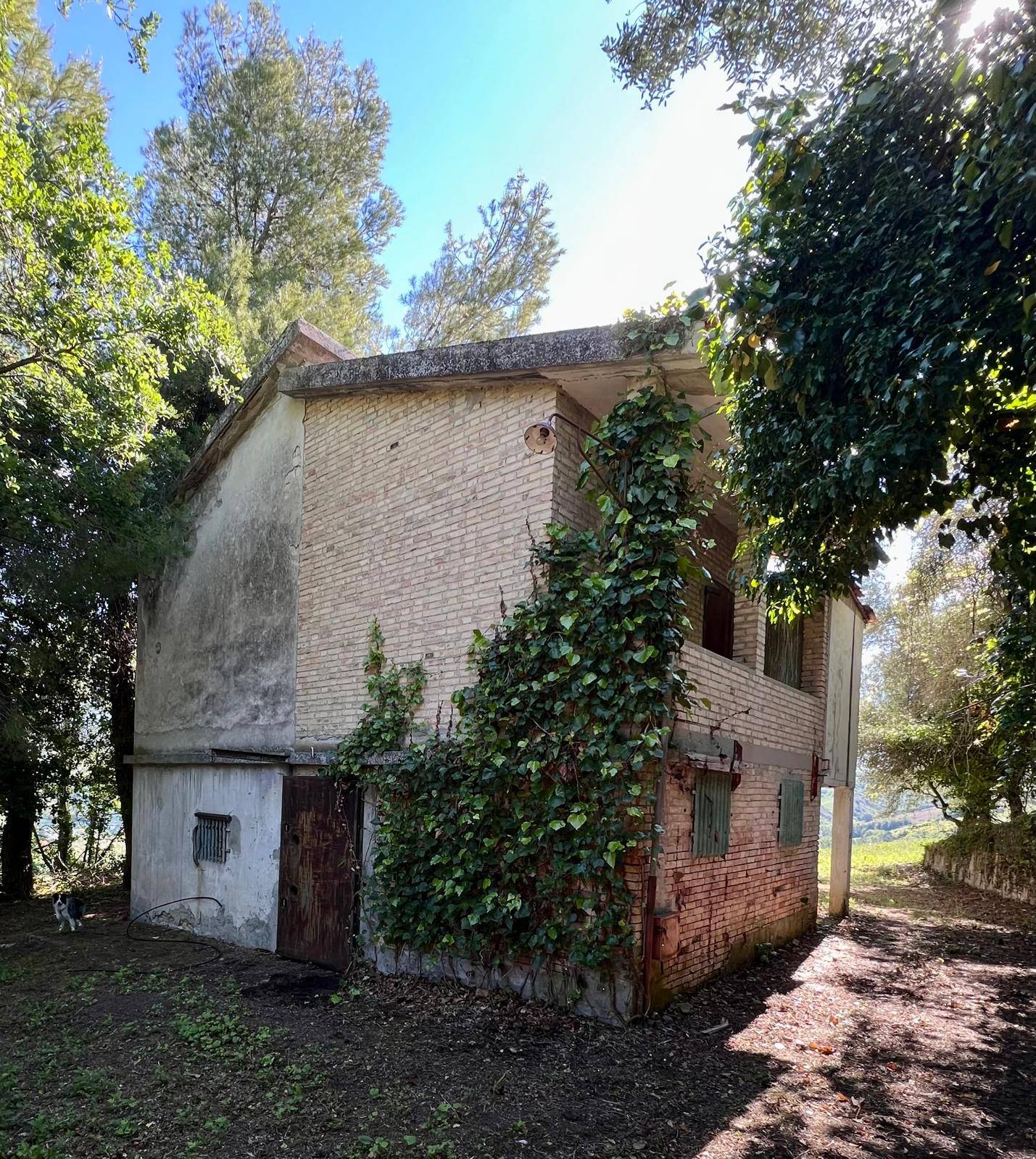 Casale Colonico Rustico te koop in Ripatransone - Val Tesino Cod. 34216 - Foto 5