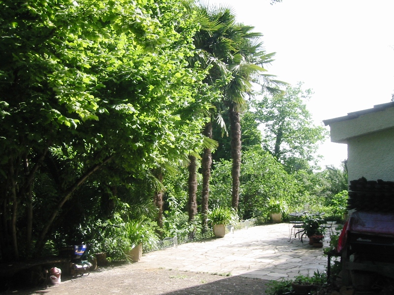 Villa / Landhuis Villa met panoramisch uitzicht in Pescara in Pescara — foto 5