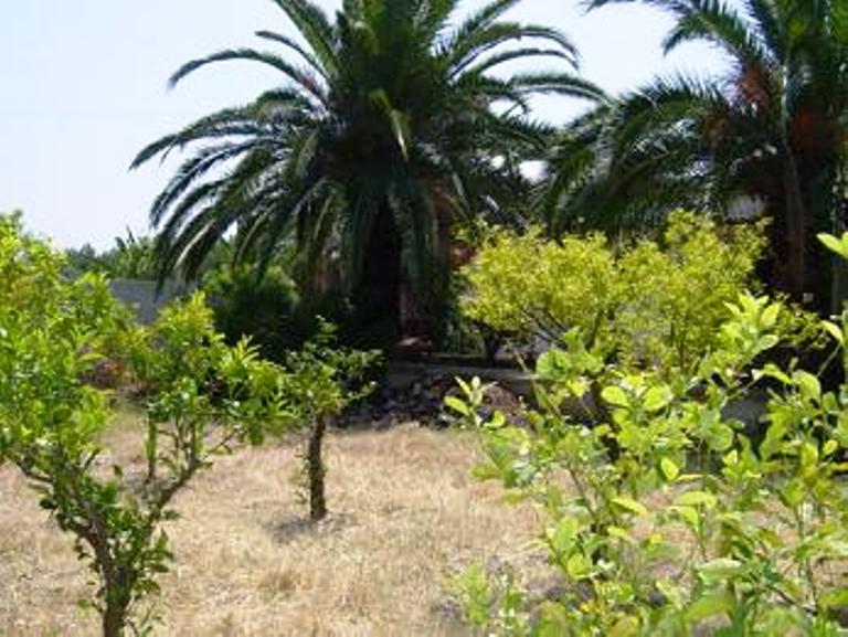 Villa / Landhuis Villa nabij Torre Guaceto Carovigno in Carovigno — foto 5