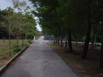 Villa in San Vito dei Normanni - Foto 2
