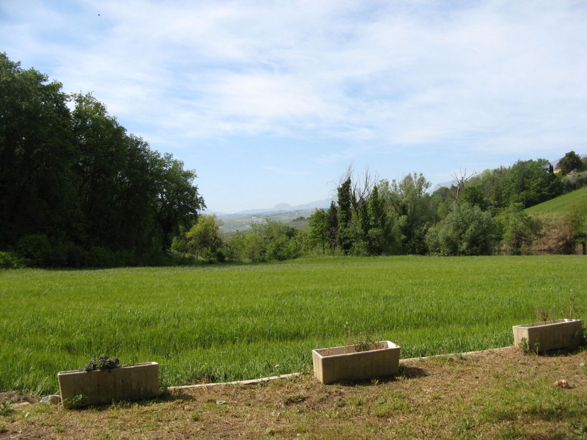 Landhuis – B&B – 2 hectare grond met meer – Olijfgaard, op slechts 2 km van de stad. - Foto 5
