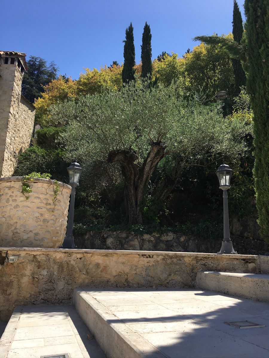 Villa / Landhuis Villa met 5 volledig gemeubileerde appartementen in Lecce nei Marsi — foto 7