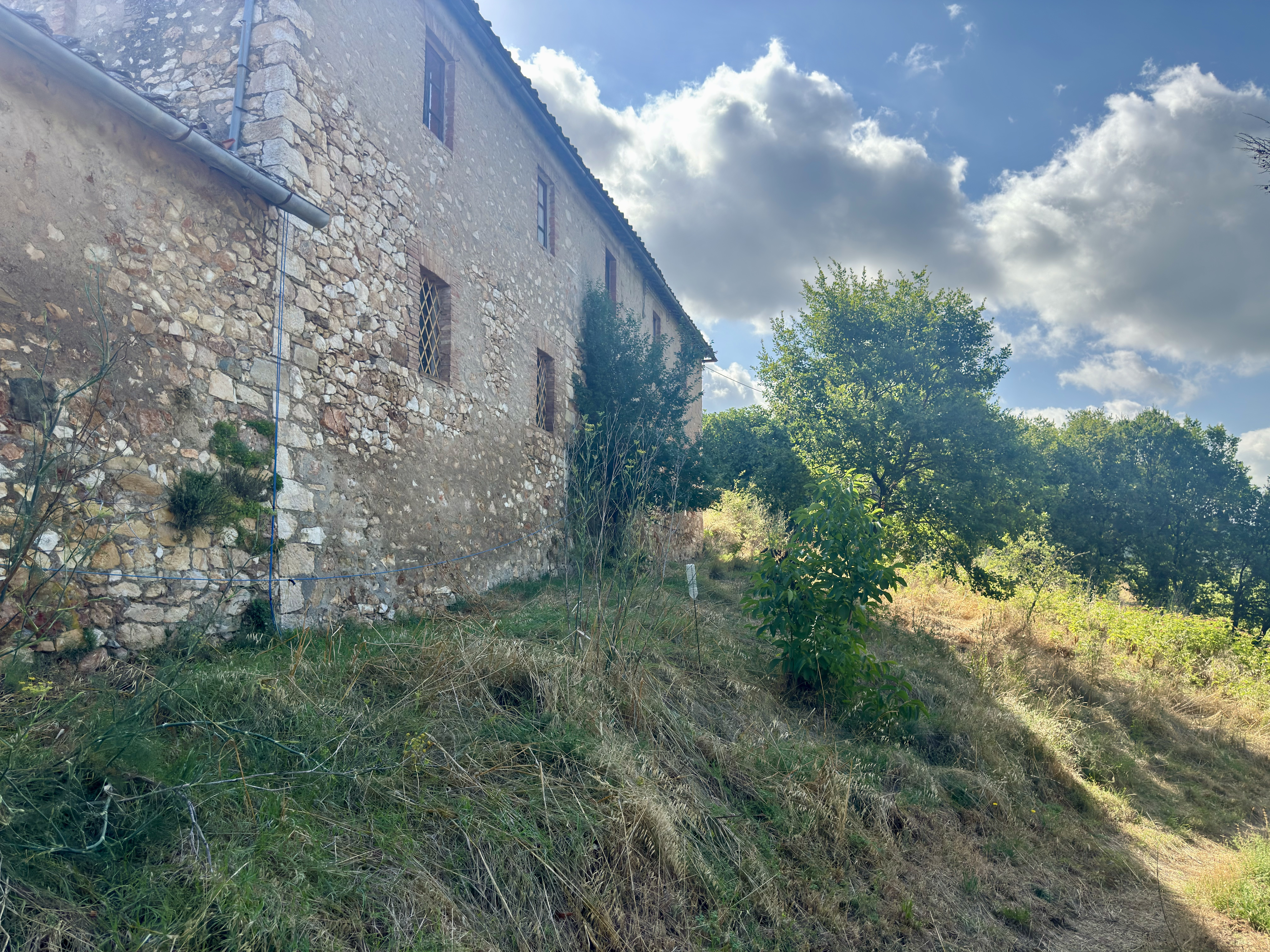 Boerderij / Rustico Casolare da ristrutturare a Casole d`Elsa in Casole d`Elsa — foto 5