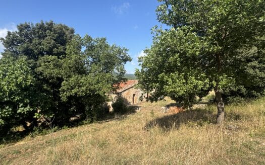 Boerderij / Rustico Casolare da ristrutturare a Casole d`Elsa in Casole d`Elsa — foto 3