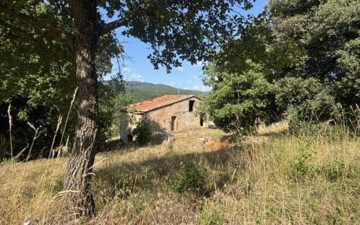Boerderij / Rustico Casolare da ristrutturare a Casole d`Elsa in Casole d`Elsa — foto 2
