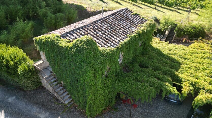 Borgo in Casole d’Elsa: gerenoveerd landgoed met wijngaard - Foto 3