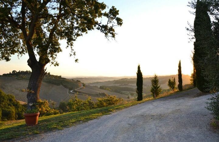 Boerderij / Rustico Azienda Agricola - Agriturismo te koop in Montalcino in Montalcino — foto 2