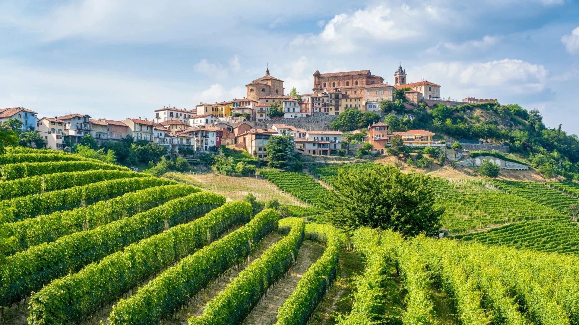 Piemonte: wijn, truffels en verborgen parels