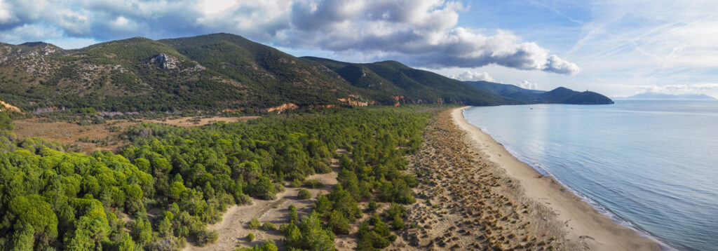De Maremma – ongerepte stranden en ruige Toscaanse natuur