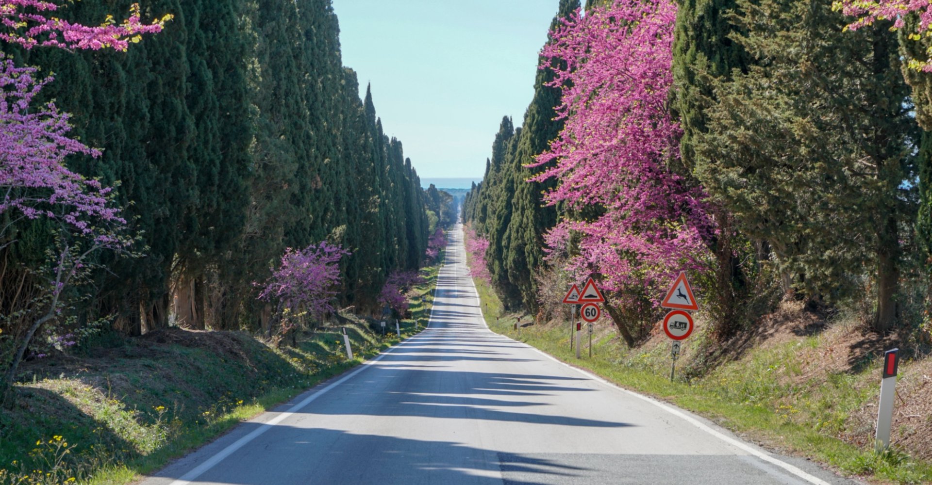 Alles over de Italiaanse provincie Livorno