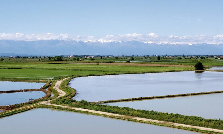 Huis kopen in de Italiaanse provincie Novara featured image