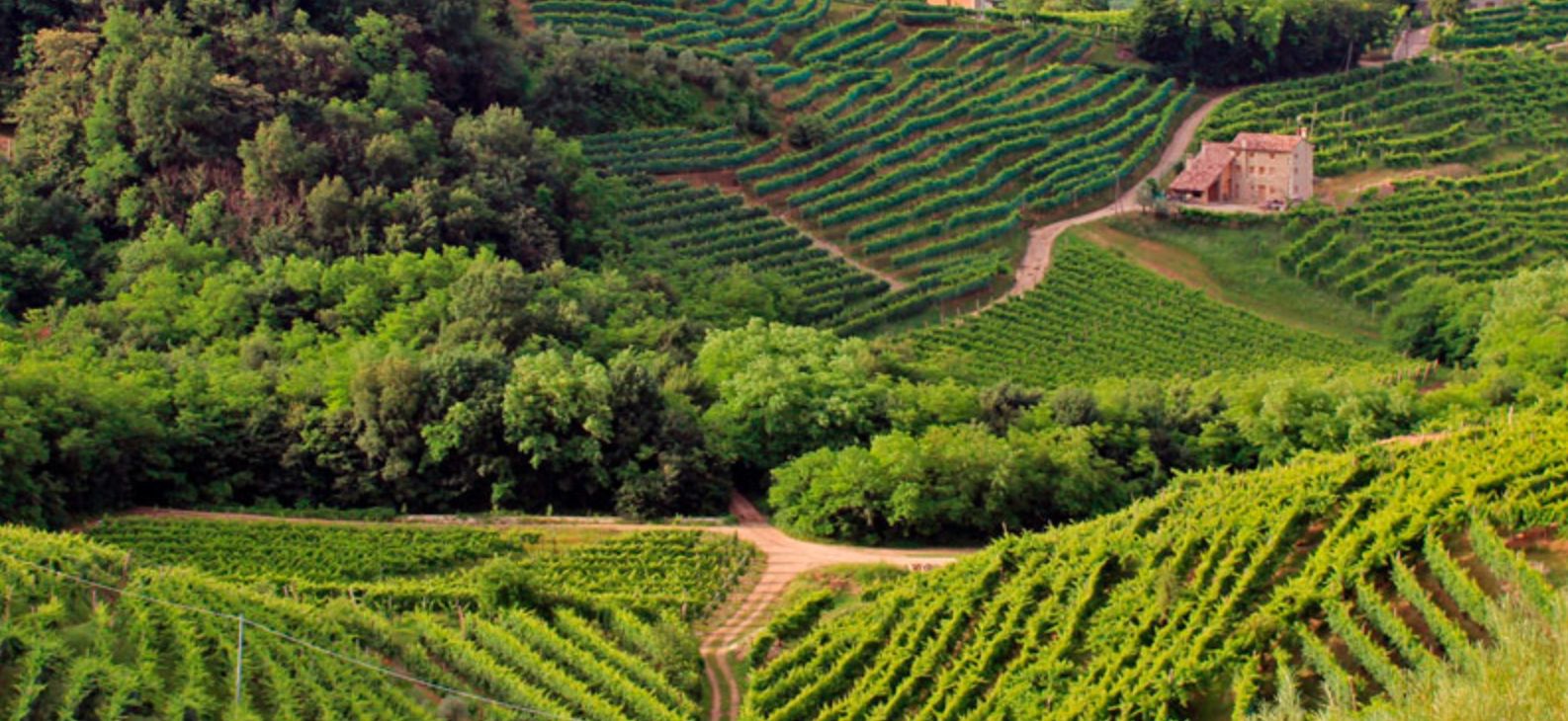 De Prosecco Heuvels featured image