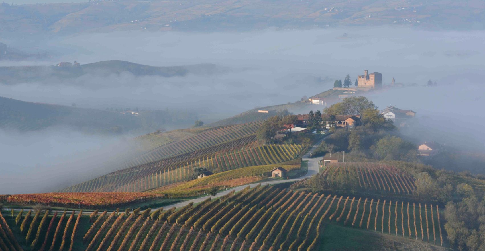 De mist, de macht en de Nebbiolo featured image