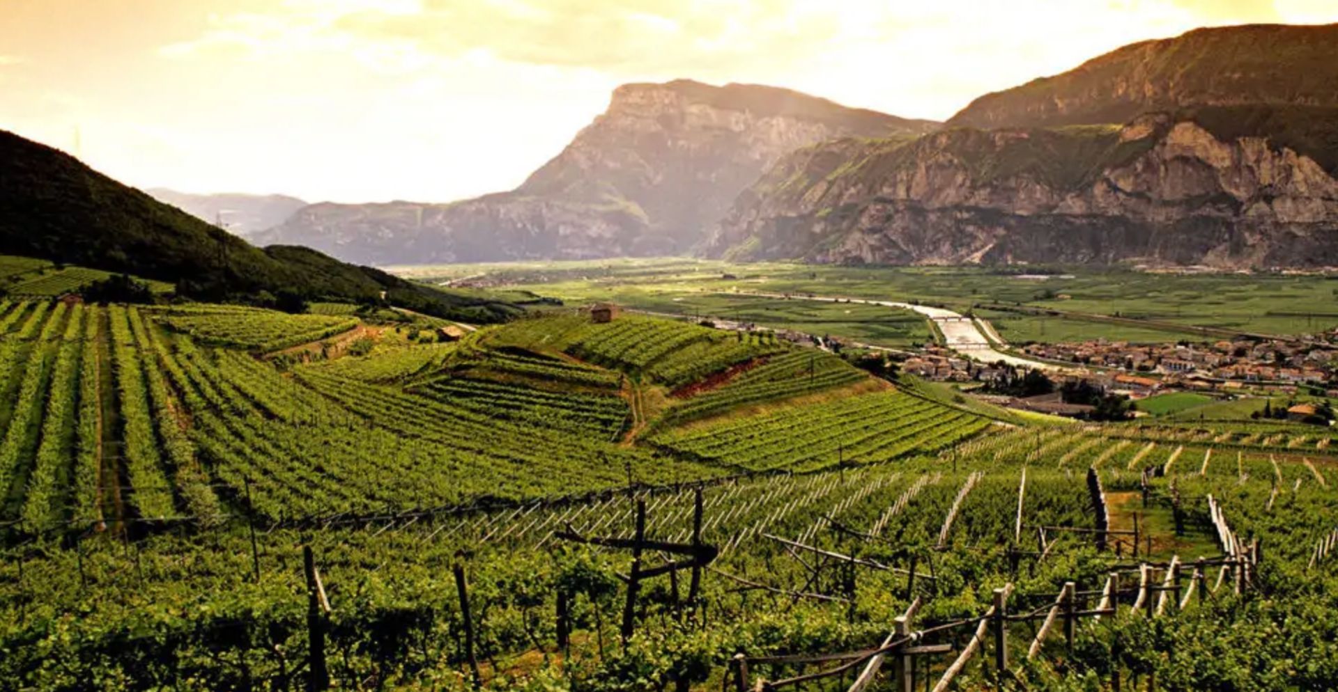 Trentino – Frisse wijnen in de schaduw van de Dolomieten hero