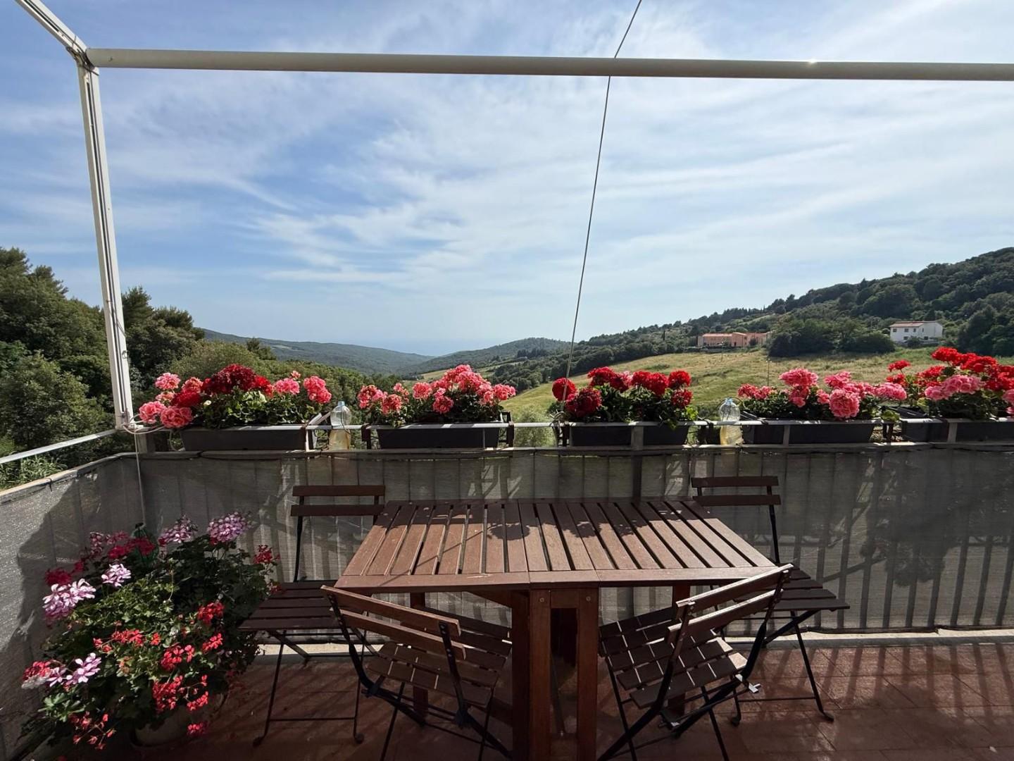 Appartement met panoramisch uitzicht in Nibbiaia, Toscane