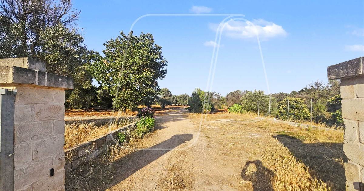 Trullo in landelijke omgeving bij Ceglie Messapica - Foto 1