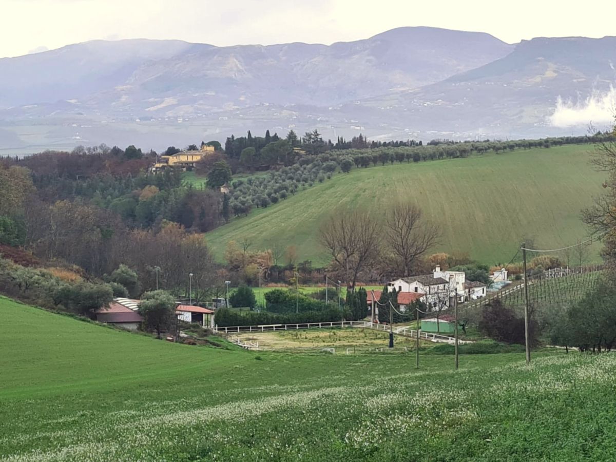 Landhuis – B&B – 2 hectare grond met meer – Olijfgaard, op slechts 2 km van de stad.