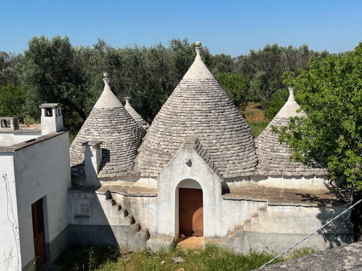 Oude woning met Trulli tussen eeuwenoude olijfbomen te koop in Ceglie Messapica (BR) in Puglia - Foto 1