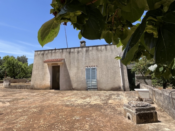 Rustico met potentieel in de Valle d'Itria, Puglia - Foto 1