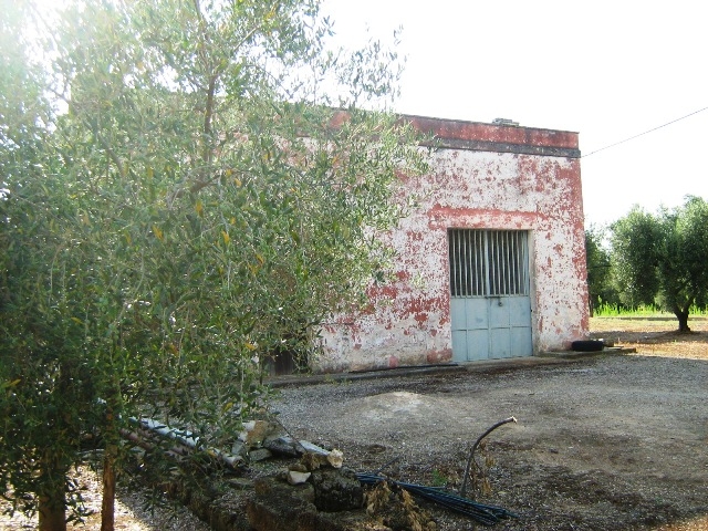 Boerderij / Rustico Casolare in vendita te San Vito Dei Normann in San Vito Dei Normanni