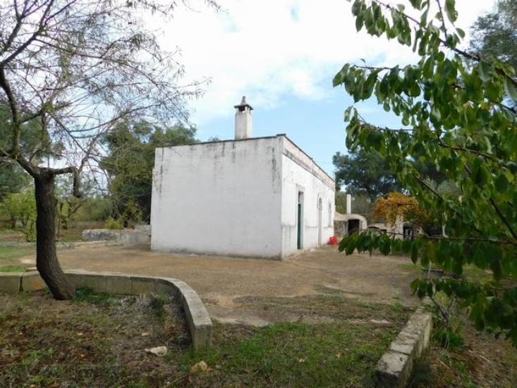 Boerderij / Rustico Landelijk gelegen boerderij/lamia in Ceglie Messapica, Puglia in Ceglie Messapica