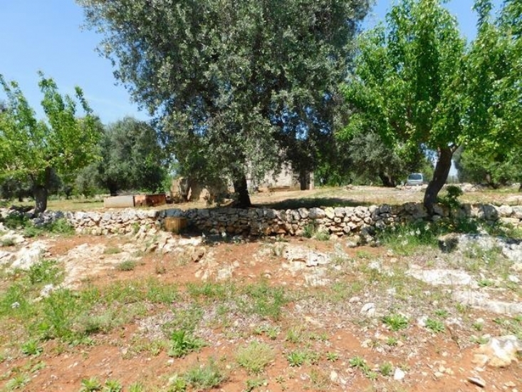 Terrein te koop in Ceglie Messapica (BR) in Puglia