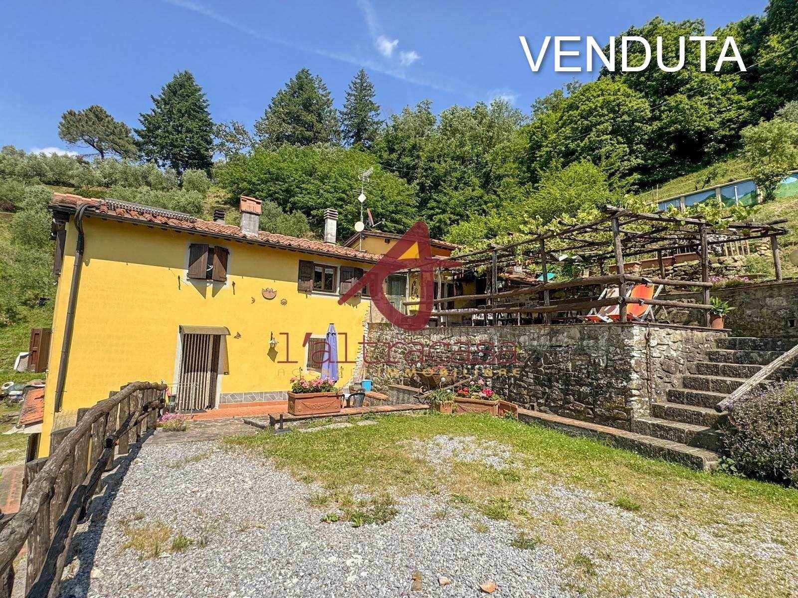 Rustico met panoramisch uitzicht en olijfgaard bij Pescia - Foto 1