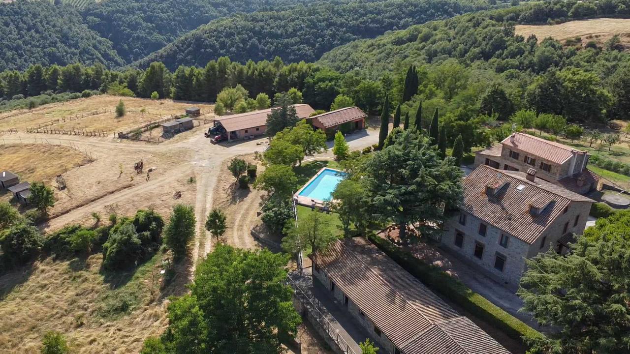 Boerderij / Rustico Podere Montenibbio in Ficulle
