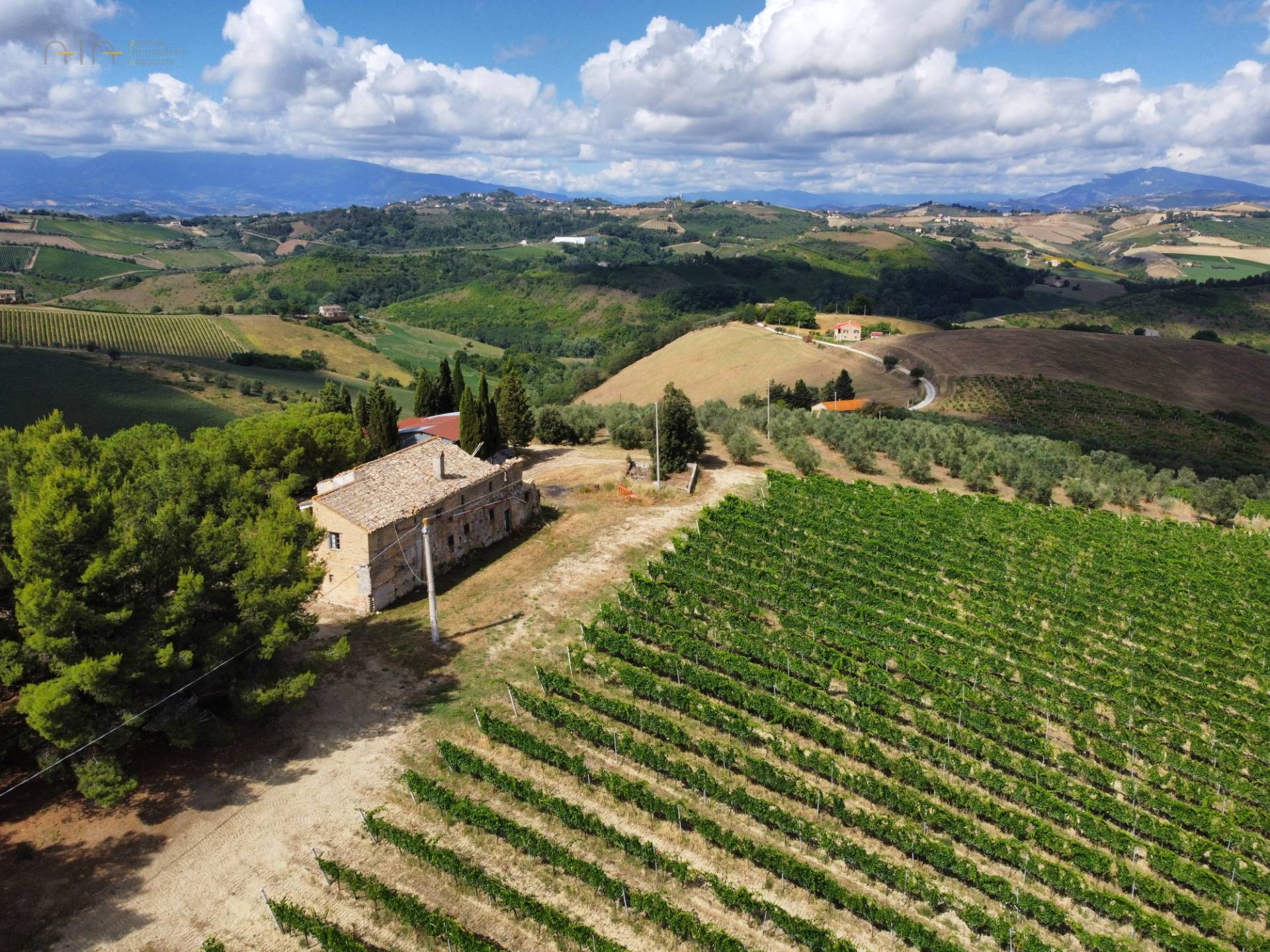 Landhuis met 21 hectare grond en panoramisch uitzicht in Acquaviva Picena - Foto 1